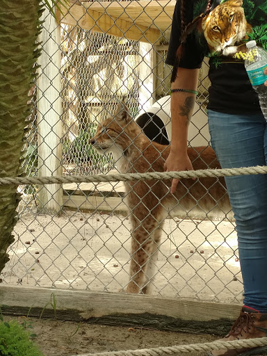 Animal Rescue Service «McCarthys Wildlife Sanctuary», reviews and photos, 12943 61st St N, West Palm Beach, FL 33412, USA