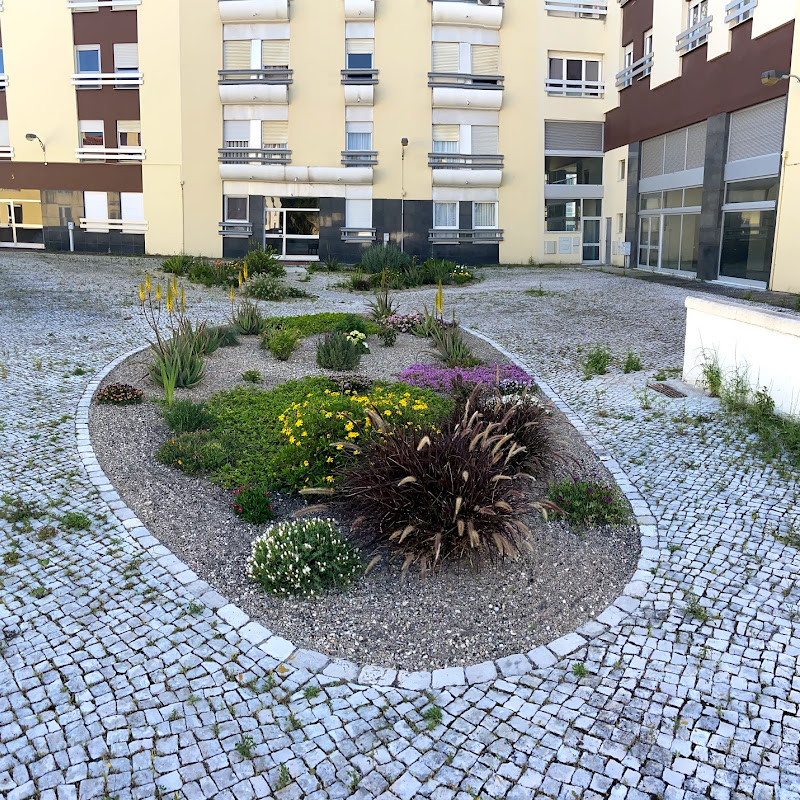 3 image