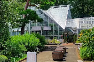 Tokyo Metropolitan Medicinal Plants Garden image