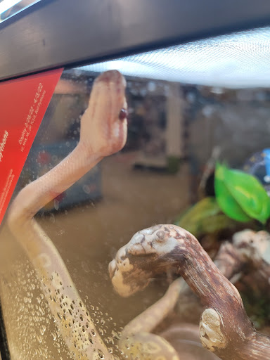 Pet Supply Store «PetSmart», reviews and photos, 2000 Clements Bridge Rd, Woodbury, NJ 08096, USA