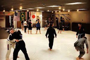 Team FVGC: Fox Valley Grappling Club image