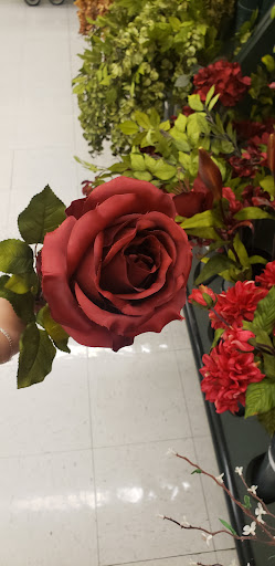 Craft Store «Hobby Lobby», reviews and photos, 501 Sawdust Rd, Spring, TX 77380, USA