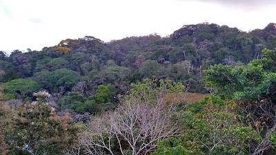 Photos of Castillo de Pavones