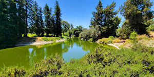 UC Davis Arboretum Teaching Nursery