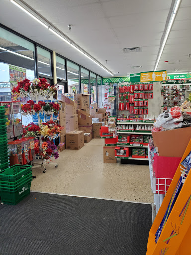 Dollar Store «Dollar Tree», reviews and photos, 528 North Ave, Glendale Heights, IL 60139, USA