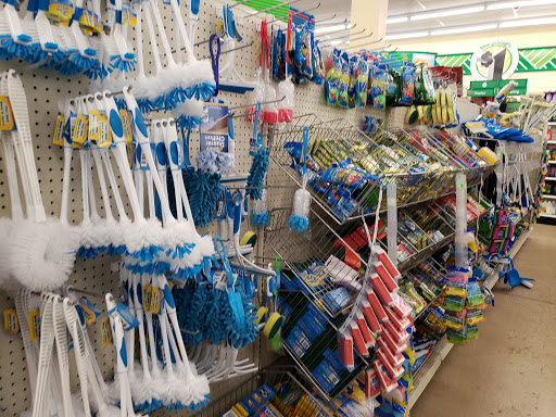Dollar Store «Dollar Tree», reviews and photos, 4101 Dempster St, Skokie, IL 60076, USA