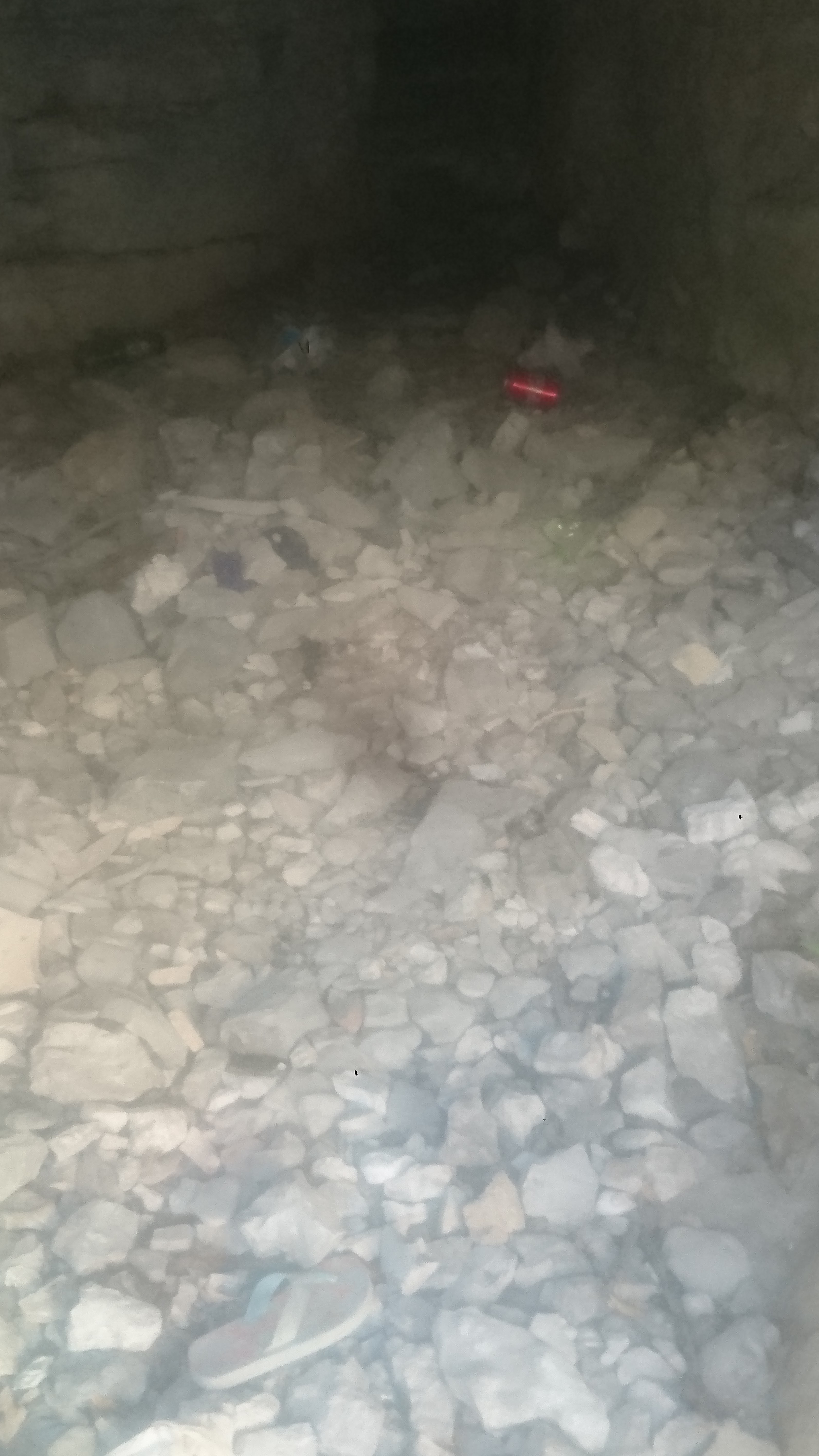 Photo n° 2 de l'avis de Aurélie.e fait le 27/08/2020 à 16:20