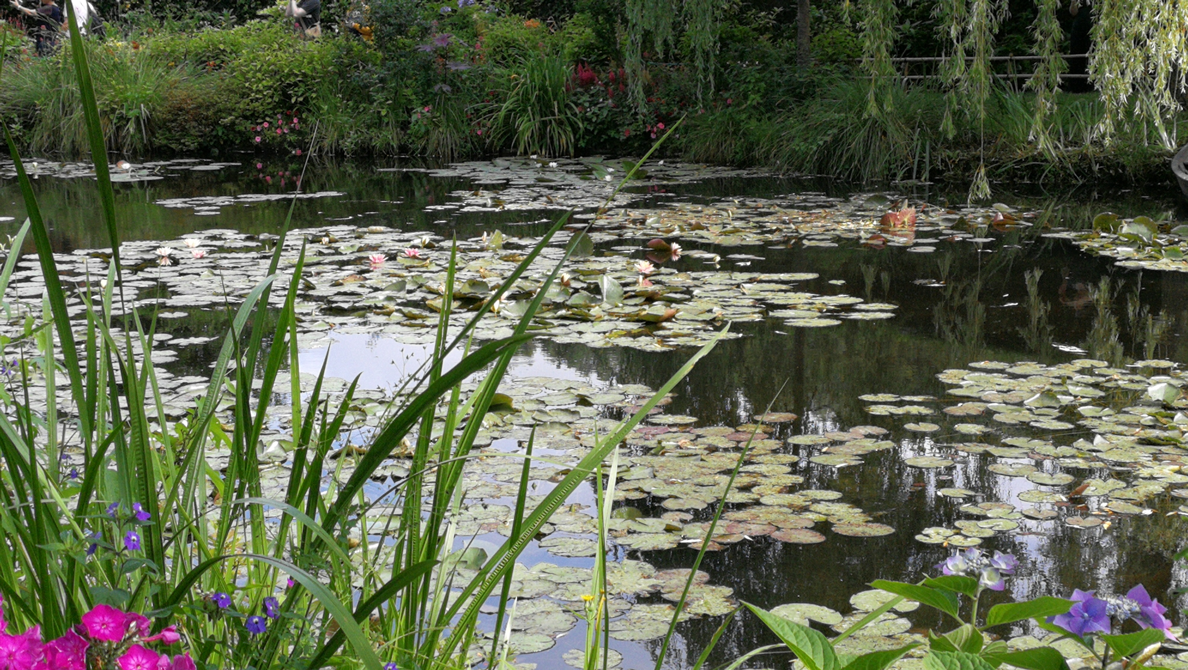 Photo n° 11 de l'avis de barbe.e fait le 10/07/2018 à 17:25