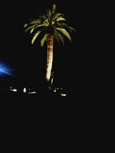 Golf Shop «Loxahatchee Club-Golf Shop», reviews and photos, 1350 Echo Dr, Jupiter, FL 33458, USA