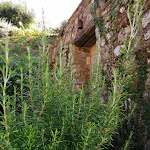 Photo n°2 de l'avis de Leonardo.u fait le 30/08/2019 à 14:53 sur le  Monteverdi Tuscany à Castiglioncello del Trinoro