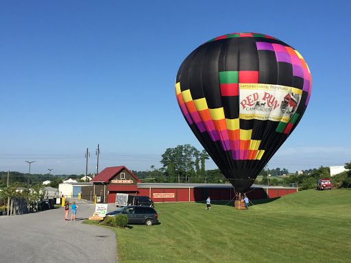 Pet Supply Store «Stoltzfus Feed & Supply», reviews and photos, 80 PA-41, Gap, PA 17527, USA