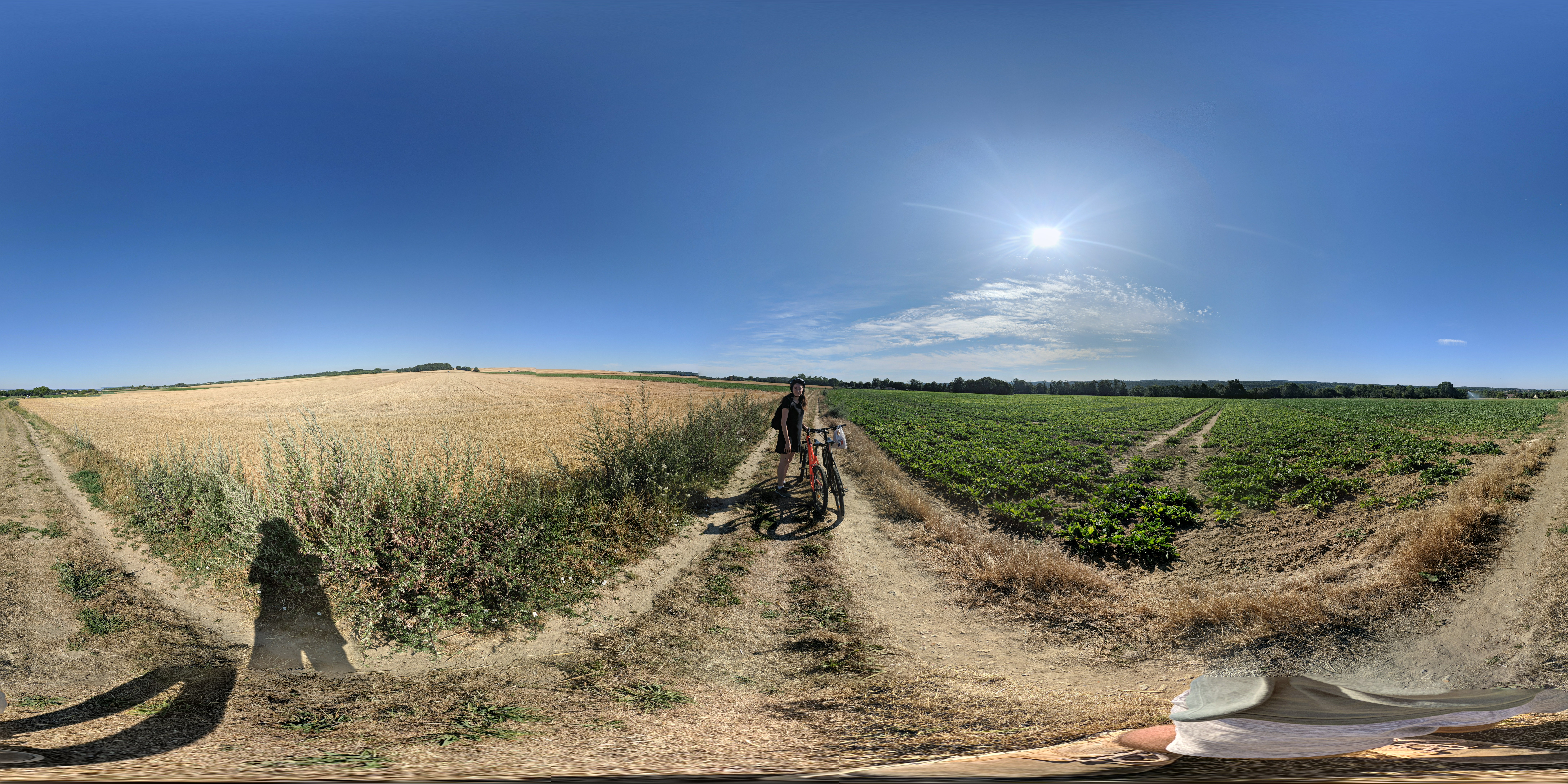 Photo n° 3 de l'avis de Jean-baptiste.E fait le 17/07/2020 à 18:36