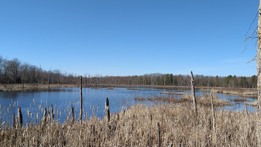 Park «Fancher Davidge Park», reviews and photos, 130 Lake Ave, Middletown, NY 10940, USA