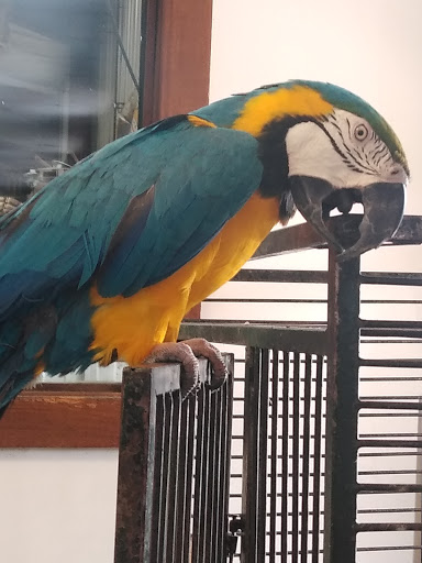 Used Tire Shop «Clark Tire & Auto», reviews and photos, 4539 MO-21, Imperial, MO 63052, USA