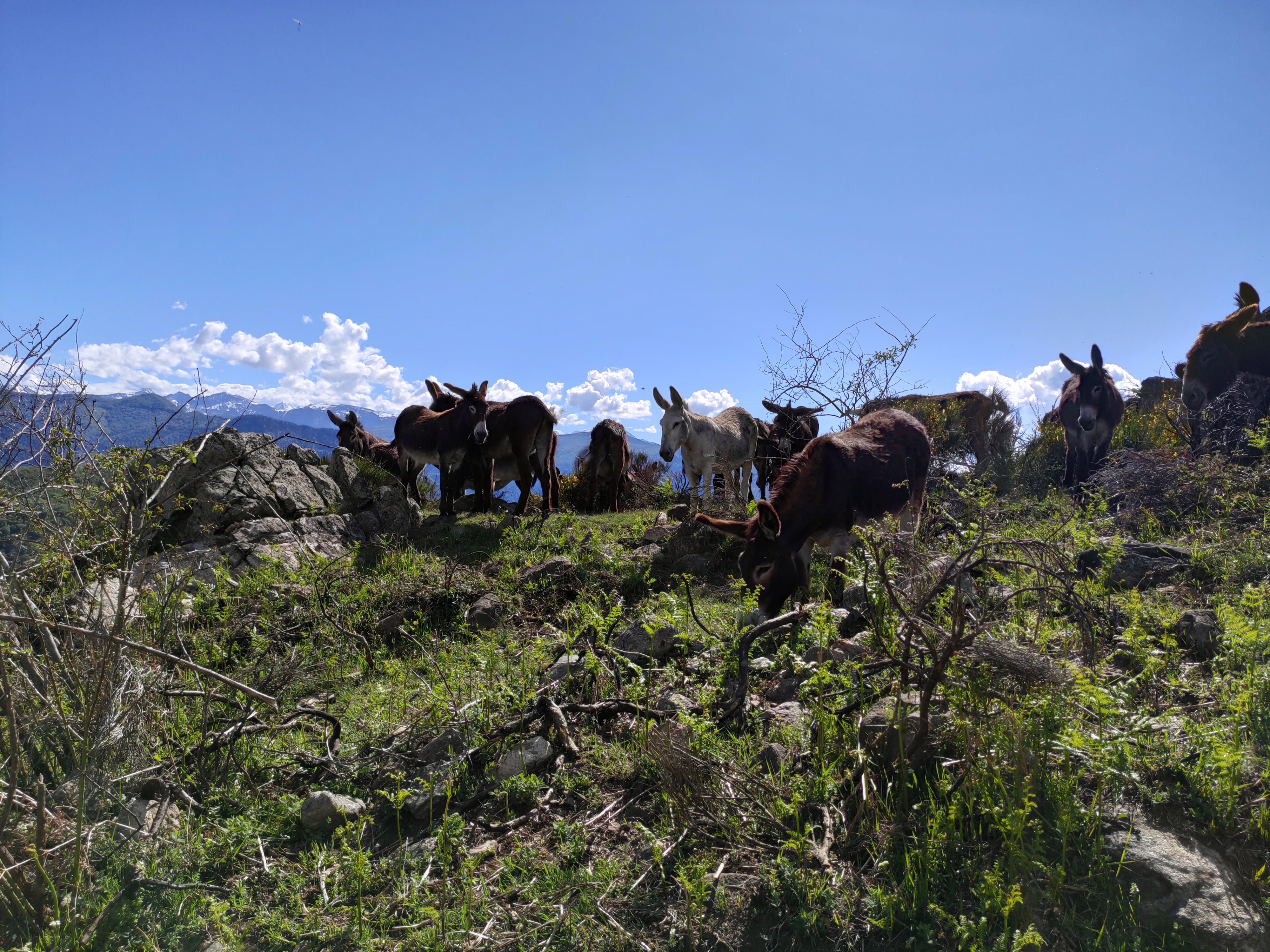 Photo n° 27 de l'avis de Florian.o fait le 04/06/2019 à 10:25