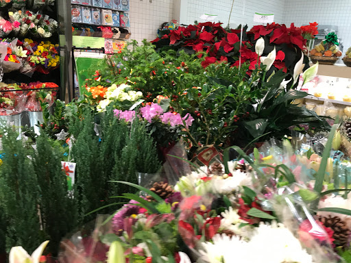 Supermarket «Publix Super Market at Barclay», reviews and photos, 14371 Spring Hill Dr, Spring Hill, FL 34609, USA