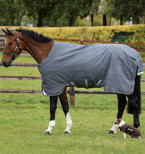 Horse Riding School «Briggs Stable Tack Shop & Trailer», reviews and photos, 623 Hanover St, Hanover, MA 02339, USA