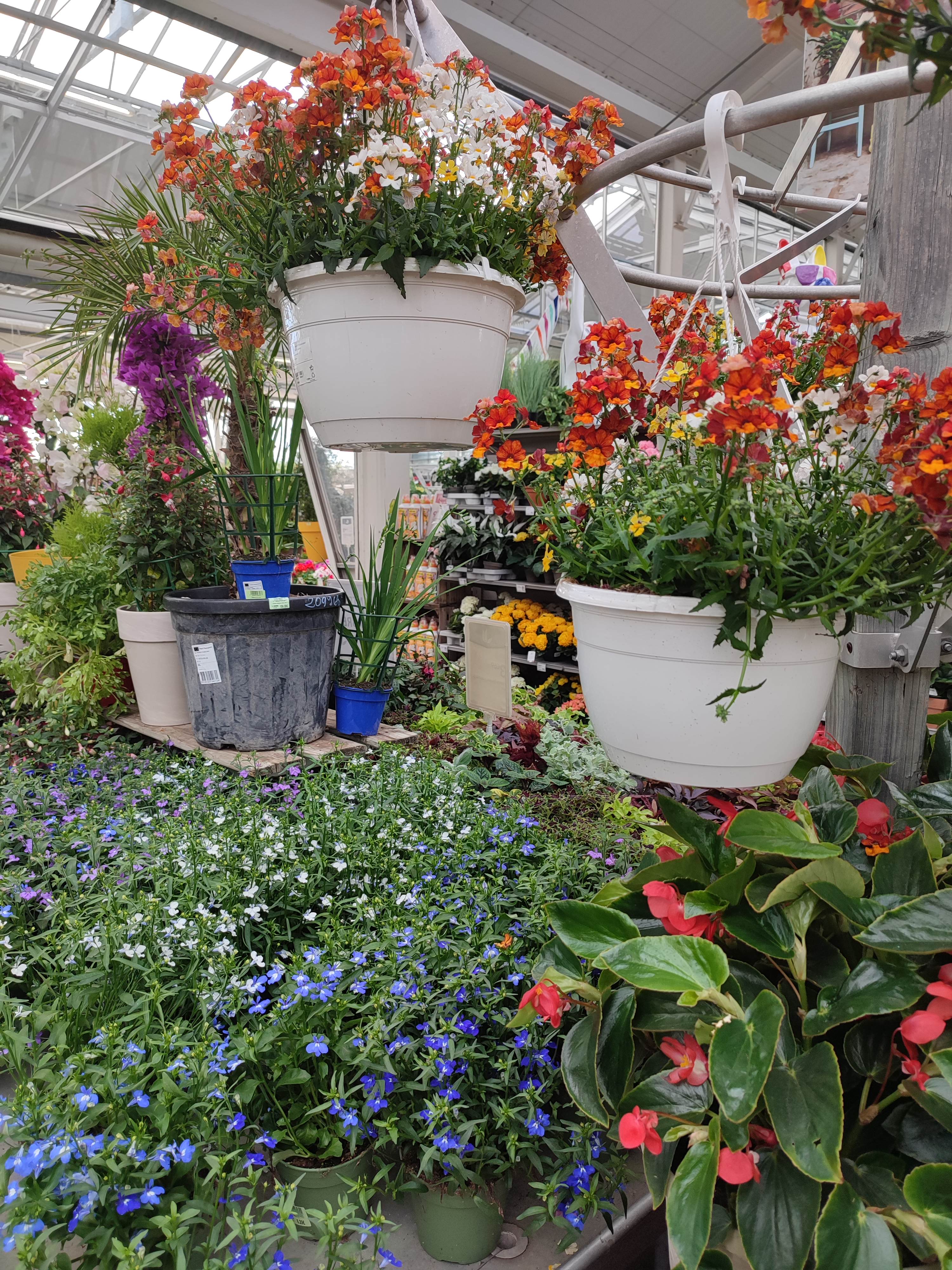 Photo n° 3 de l'avis de Ludivine.a fait le 21/03/2023 à 18:56
