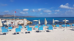 Foto von Porto dell'Ancora Beach #alt_locality_no
