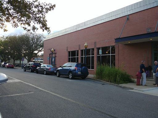 Performing Arts Theater «Purple Rose Theatre Company», reviews and photos, 137 Park St, Chelsea, MI 48118, USA