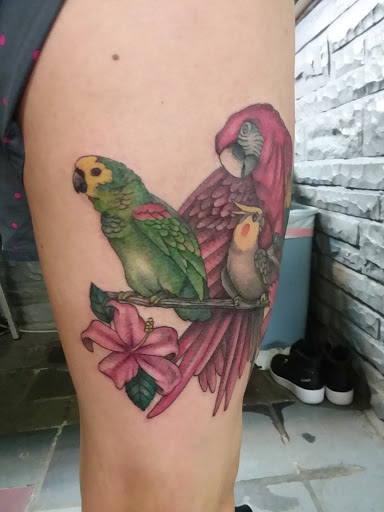 Tattoo Shop «Tattoo Odyssey Inc», reviews and photos, 8012 Castor Ave Studio B, Philadelphia, PA 19152, USA