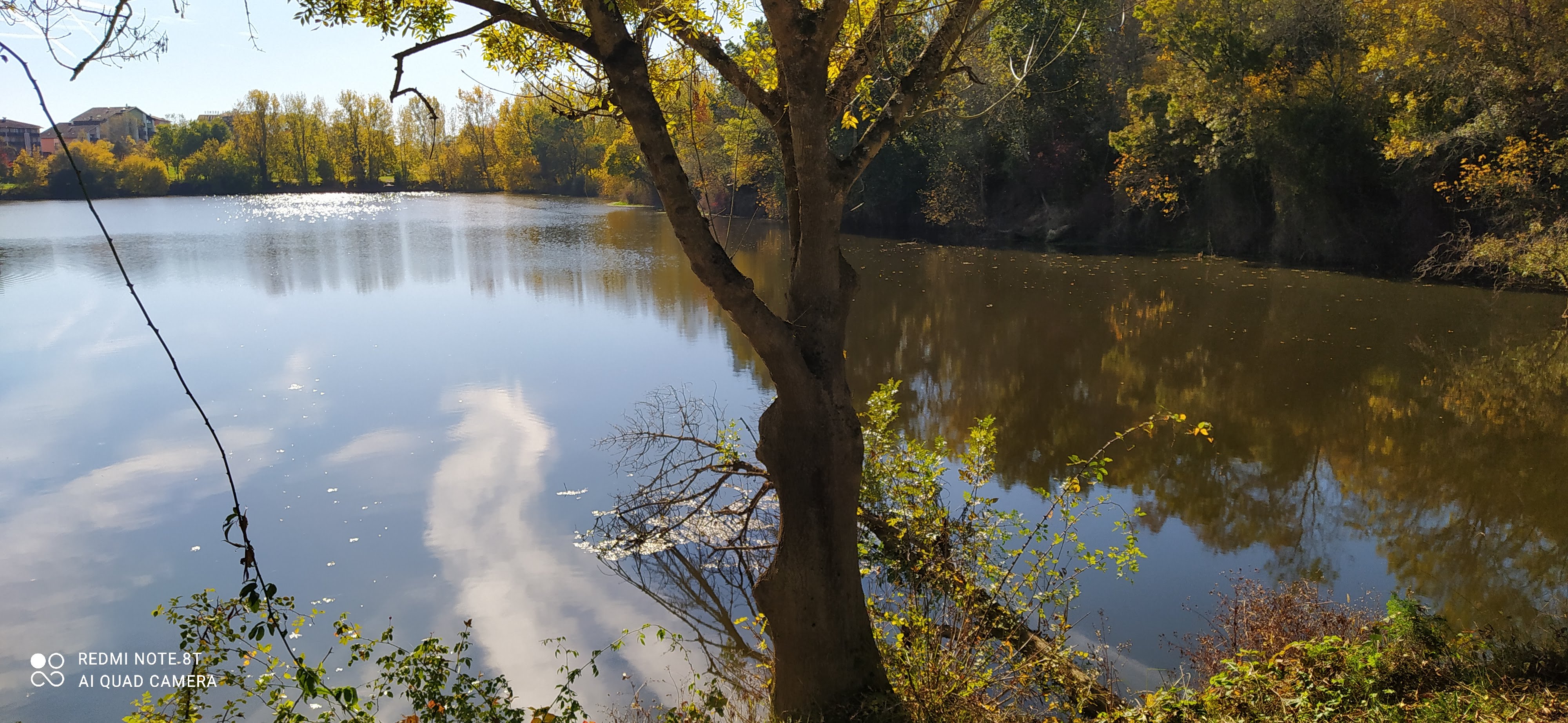 Photo n° 1 de l'avis de Jean.a fait le 25/10/2021 à 12:04