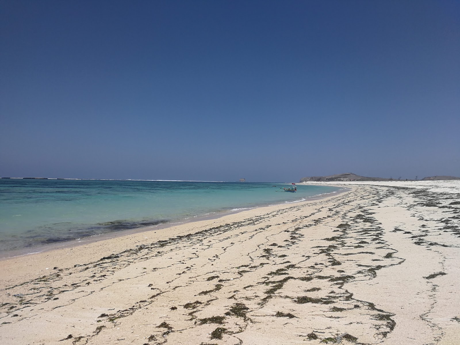 Kaliantan Beach'in fotoğrafı vahşi alan