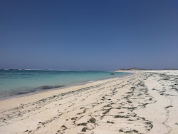 Kaliantan Beach'in fotoğrafı vahşi alan