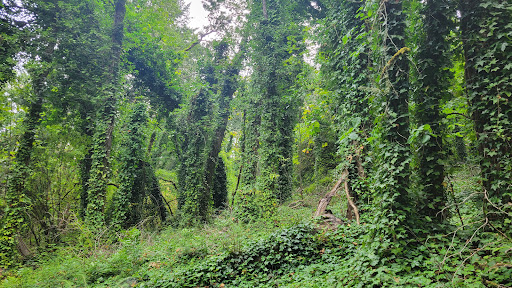 North Croisan Creek Trail Head