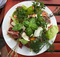 Salade du Sandwicherie Saveurs et Terroirs à Arles - n°4