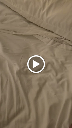 Hotel «Holiday Inn Express Union City», reviews and photos