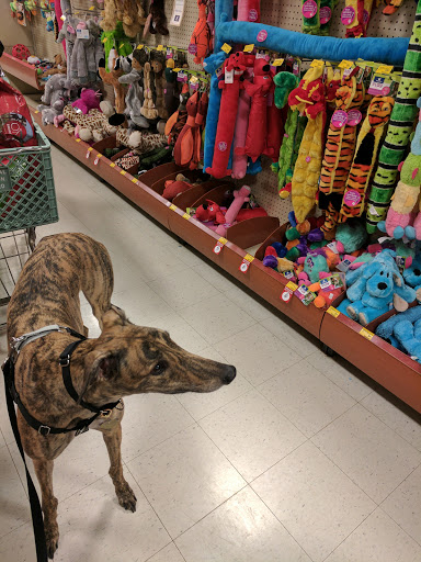Pet Supply Store «PetSmart», reviews and photos, 5900 Carlisle Pike, Mechanicsburg, PA 17050, USA