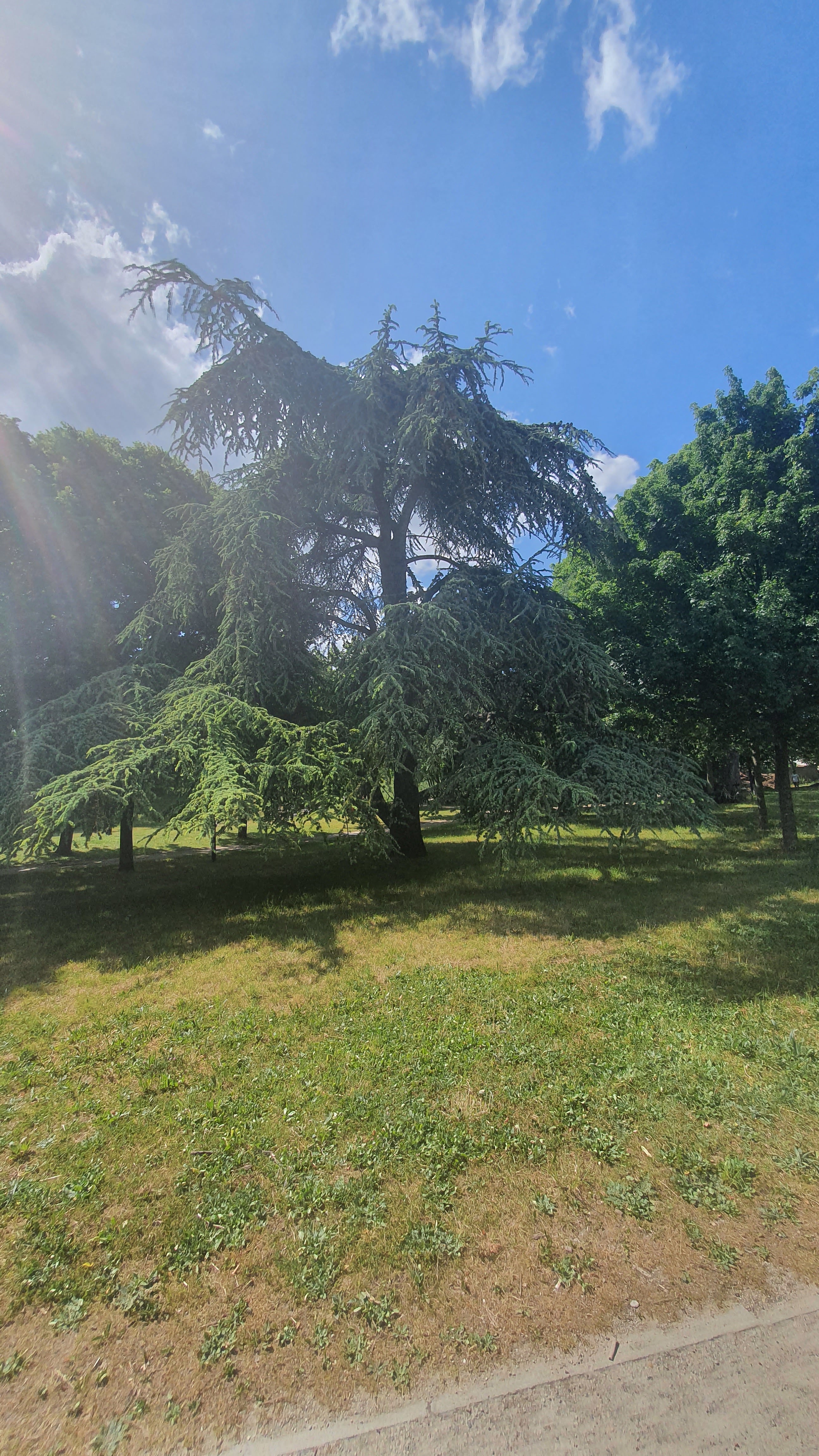 Photo n° 1 de l'avis de Ziad. fait le 21/05/2022 à 14:41