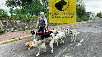Paseo de Perros - Dog Walk