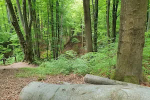 Yavorivskyi National Park image