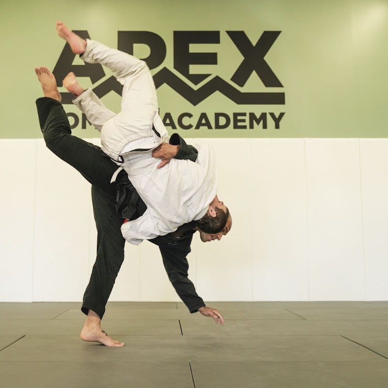 Apex Combat Academy