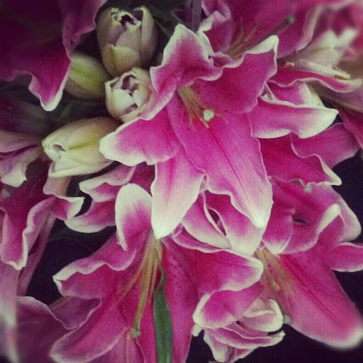 Florist «Eichholz Flowers», reviews and photos, 133 E Main St, Waynesboro, PA 17268, USA