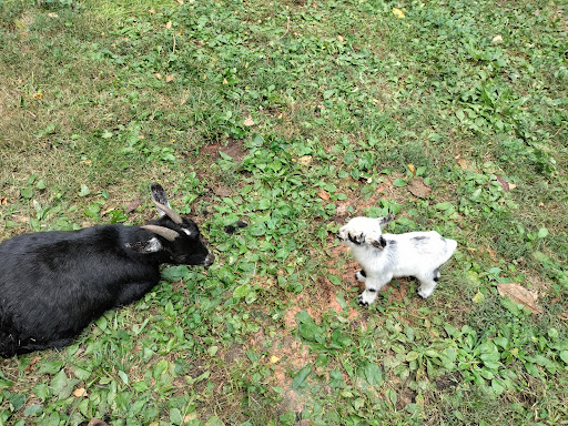 Agrarian Veterinary Services, LLC image