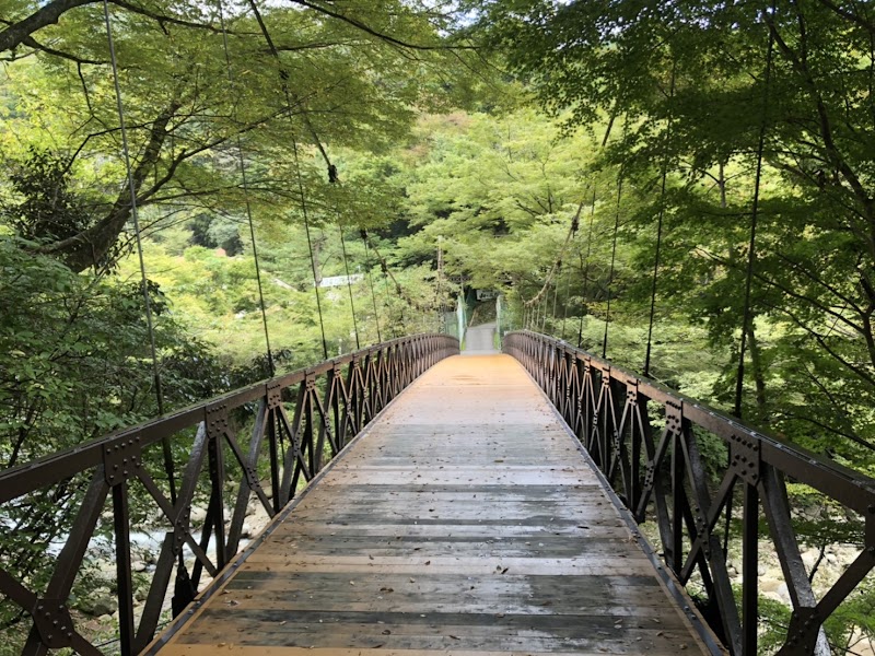 箱根吊り橋