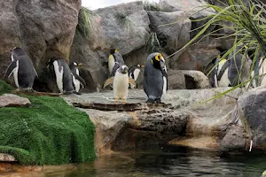 Saint Louis Zoo North Entrance image