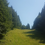 Photo n°2 de l'avis de Carla.e fait le 21/07/2022 à 12:45 sur le  AURINE SKI DOLOMITI GHEGY RISTOBAR à Gosaldo