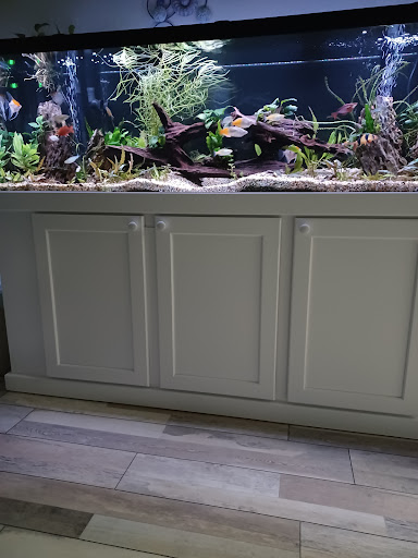 Pet Supply Store «Coastline Pet Supply», reviews and photos, 3530 Northgate Dr, Myrtle Beach, SC 29588, USA