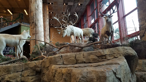 Sporting Goods Store «Bass Pro Shops», reviews and photos, 951 E Lewis and Clark Pkwy, Clarksville, IN 47129, USA