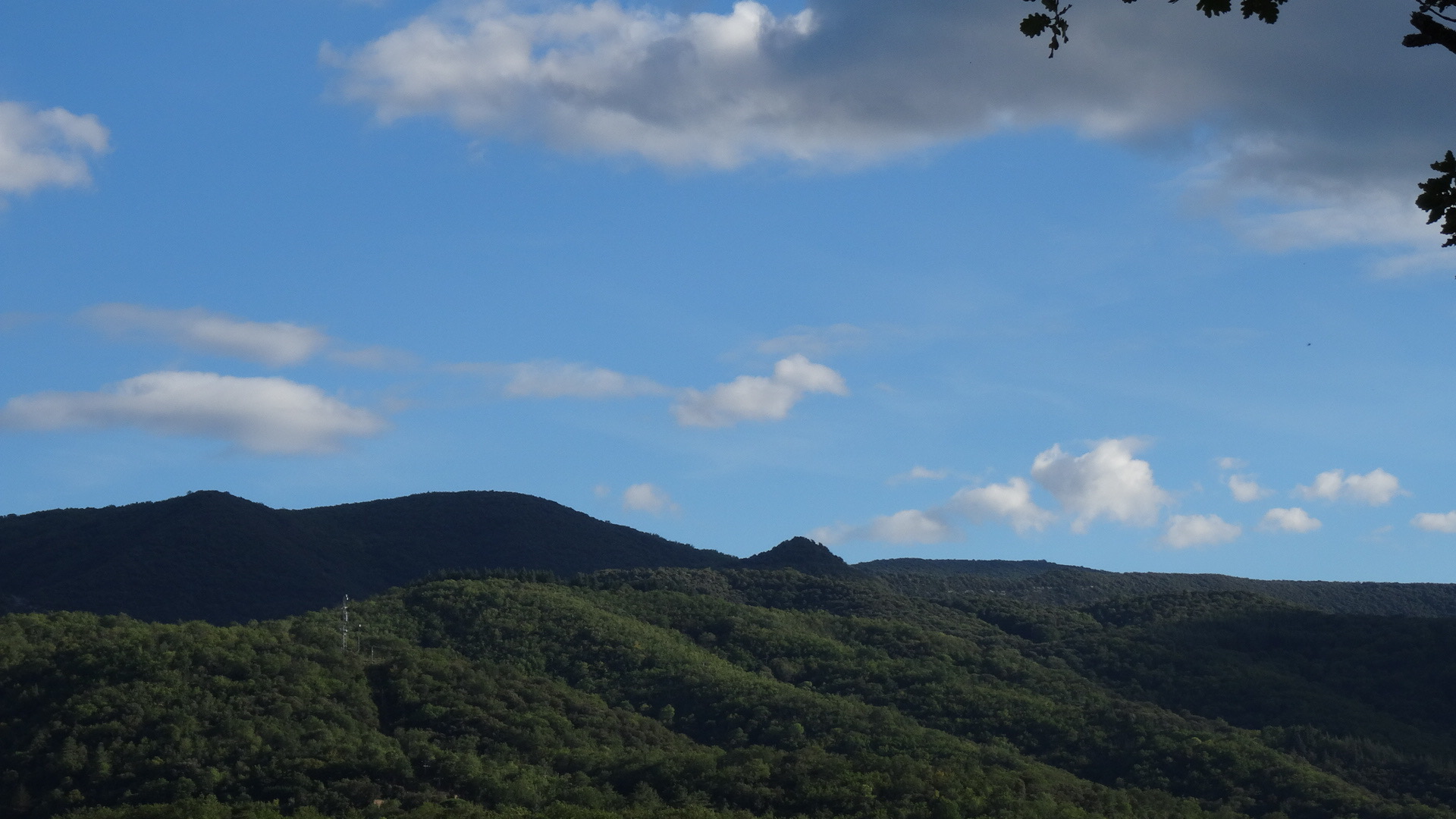 Photo n° 2 de l'avis de Pierre.u fait le 30/07/2023 à 15:20