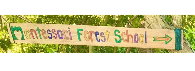 Montessori Forest School