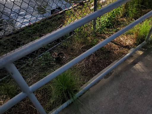 Tourist Attraction «IMAG History & Science Center (formerly Imaginarium Science Center)», reviews and photos, 2000 Cranford Ave, Fort Myers, FL 33916, USA