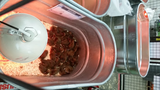 Home Improvement Store «Tractor Supply Co.», reviews and photos, 5431 Southern Maryland Blvd, Lothian, MD 20711, USA