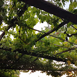 Photo n°2 de l'avis de Alberto.o fait le 30/06/2021 à 20:22 sur le  Ristorante La Fontanina di San Pietro à Porto Santo Stefano