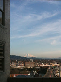 Decision Coaching Ursina Teuscher PhD - Photo 4 - Car repair in Portland, OR, Portland