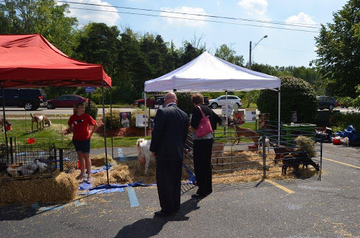 Auto Body Shop «Auto Body Xperts», reviews and photos, 216 120th Ave, Holland, MI 49424, USA